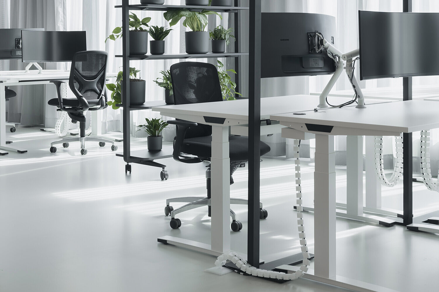 In an open-plan office, there are white height-adjustable desks. Black IN swivel chairs are placed around them. The office is decorated in shades of gray, white, and black.
