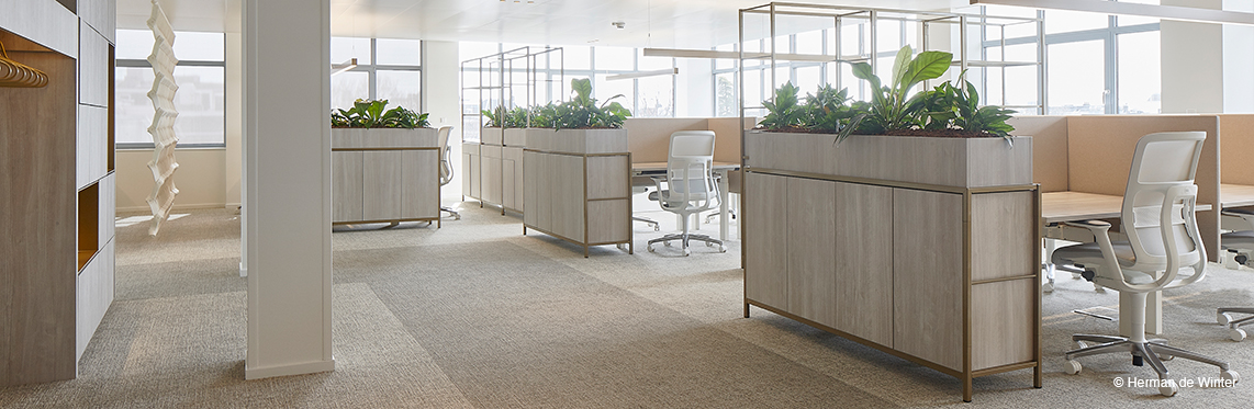 The photo shows a modern, bright open-plan office with plenty of natural light, wood finishes, and large plant displays used as room dividers. White AT swivel chairs can be seen at the workstations.