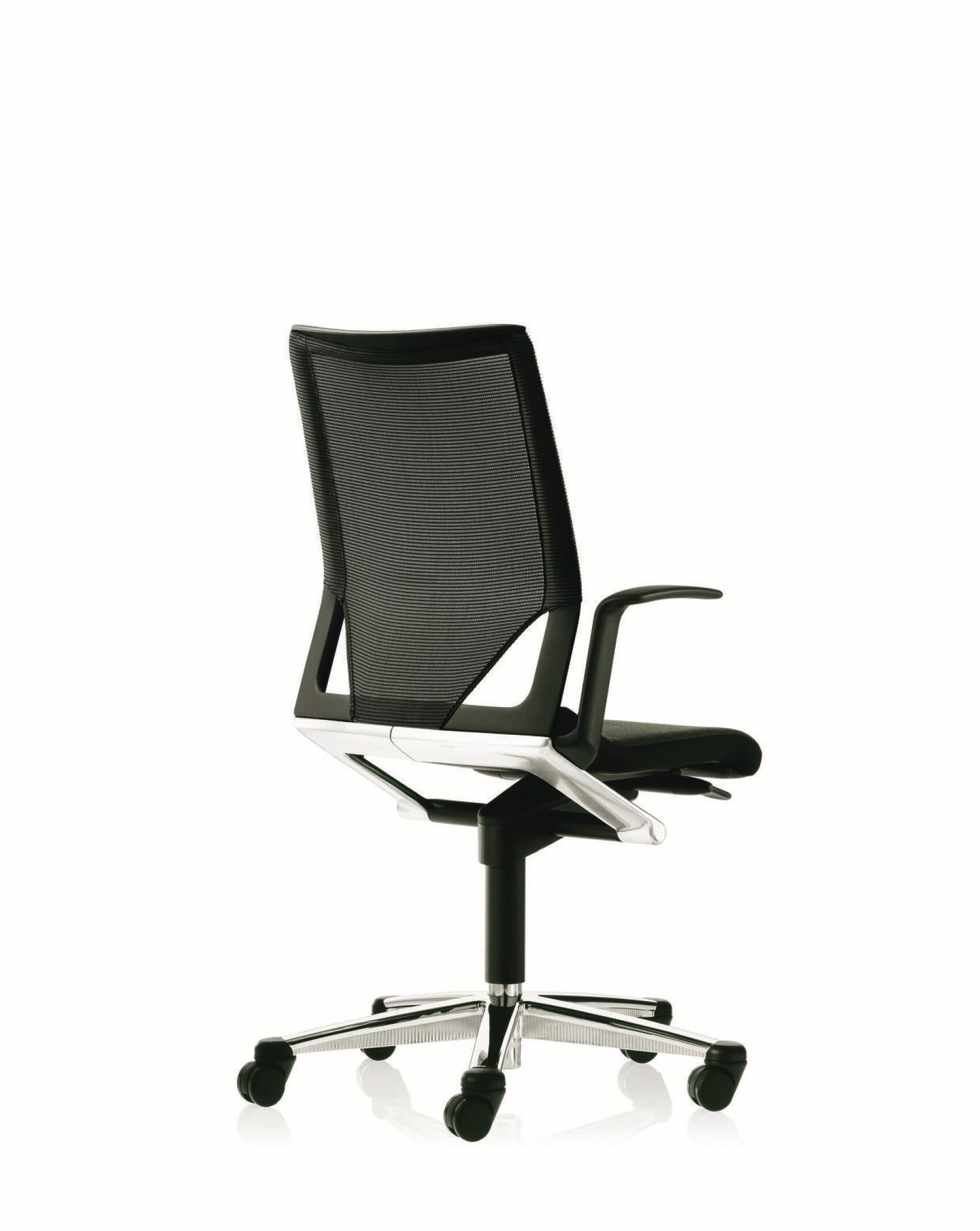 Modus chair, cut-out, rear view, mesh backrest